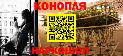 СК Магадан