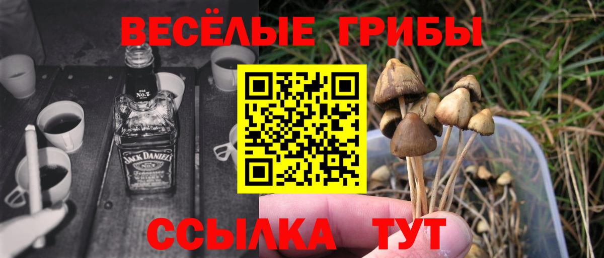 Алейск  Галлюциногенные грибы мухоморы  Вход с VPN 